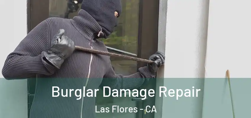  Burglar Damage Repair Las Flores - CA