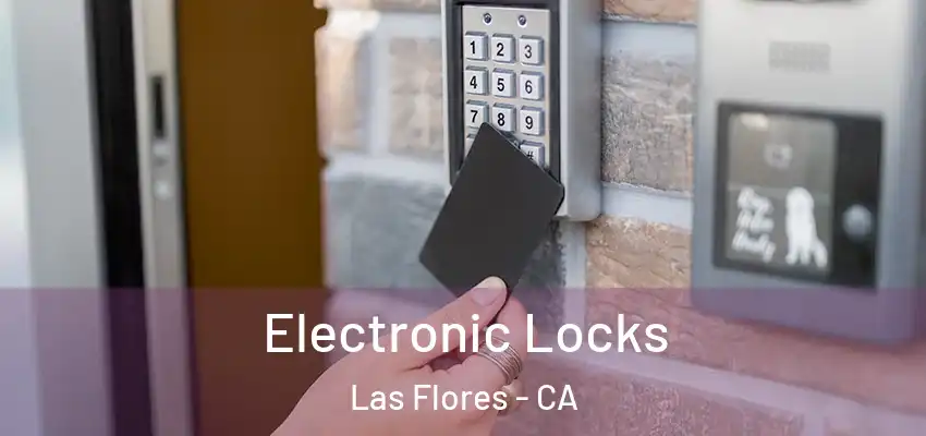  Electronic Locks Las Flores - CA
