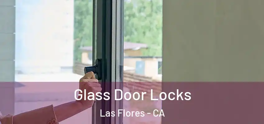  Glass Door Locks Las Flores - CA