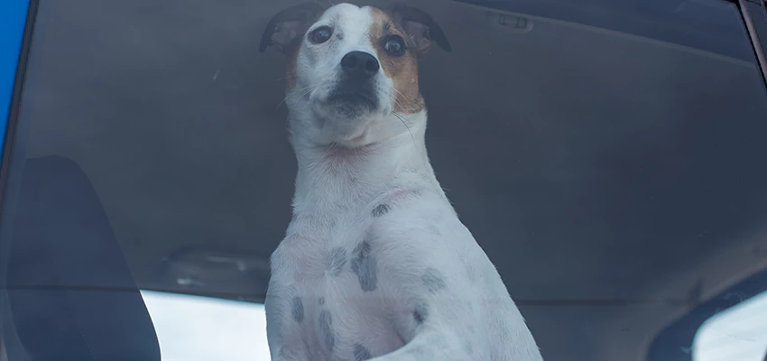 Car Lockout Solutions in Las Flores, California