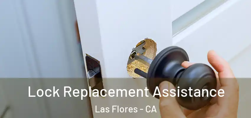  Lock Replacement Assistance Las Flores - CA