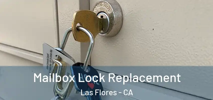  Mailbox Lock Replacement Las Flores - CA