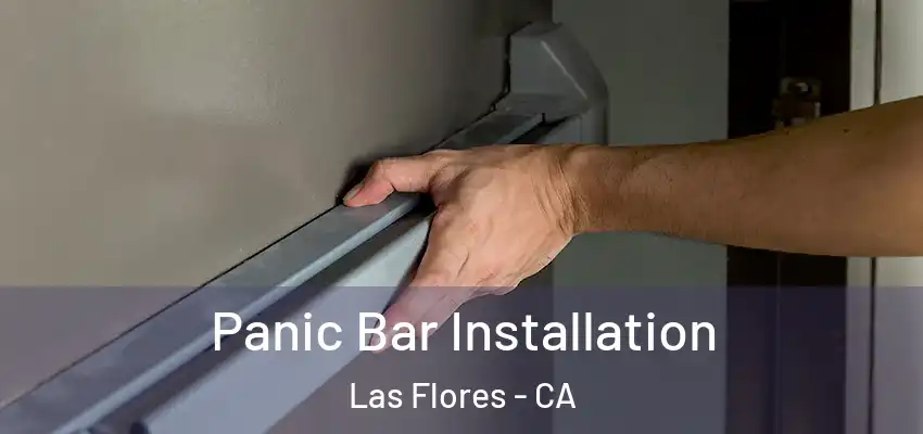  Panic Bar Installation Las Flores - CA
