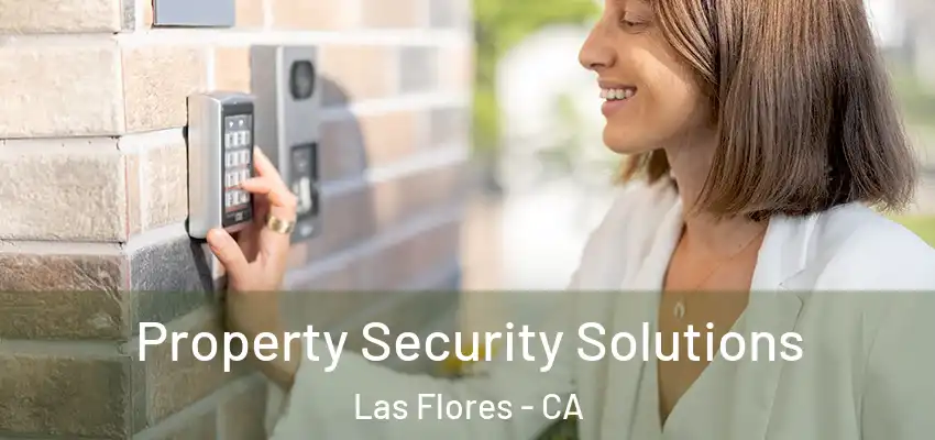  Property Security Solutions Las Flores - CA