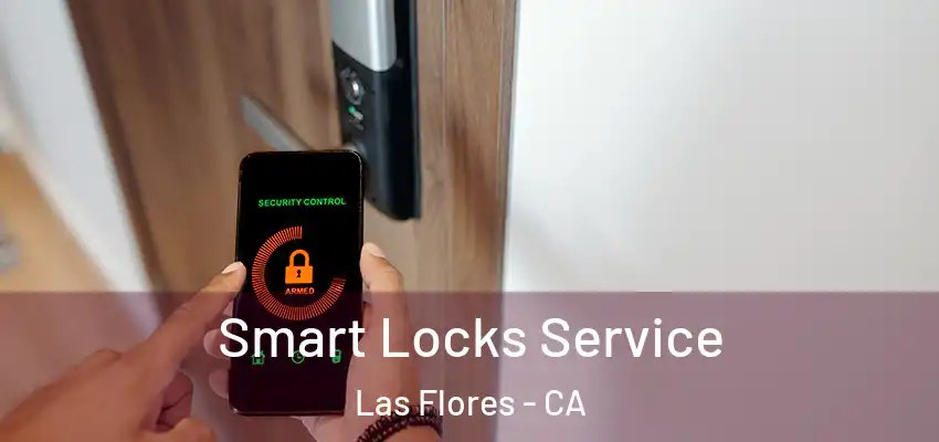  Smart Locks Service Las Flores - CA